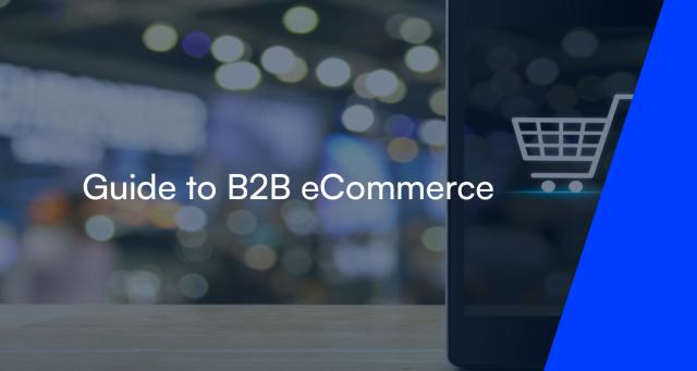Guide to B2B eCommerce 