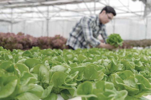 Trädgård, jord- och skogsbruk